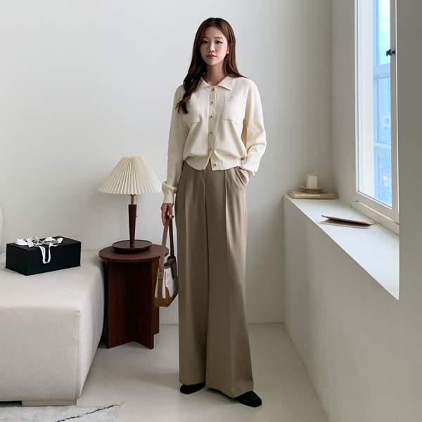 <b>[Limited Quantity SALE]</b> Presso Back Banding Pin Tuck Wide Slacks (SL)