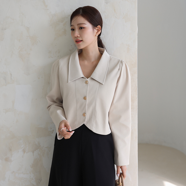 Pointed collar crop blouse