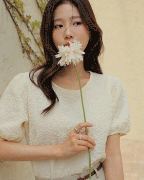 Wrinkle Puff Blouse