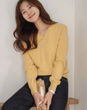 Hamel Cashmere Wool V-neck Knit