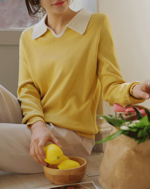 Mona color collar knit