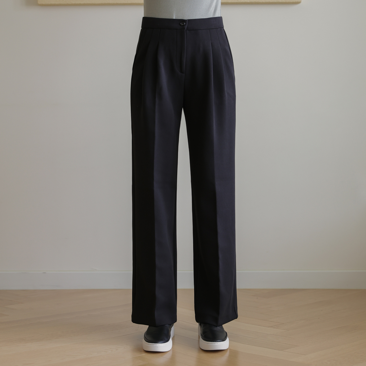 <b>[Limited Quantity SALE]</b> Lizfit Two-Tuck Wide Slacks (Band Waist)
