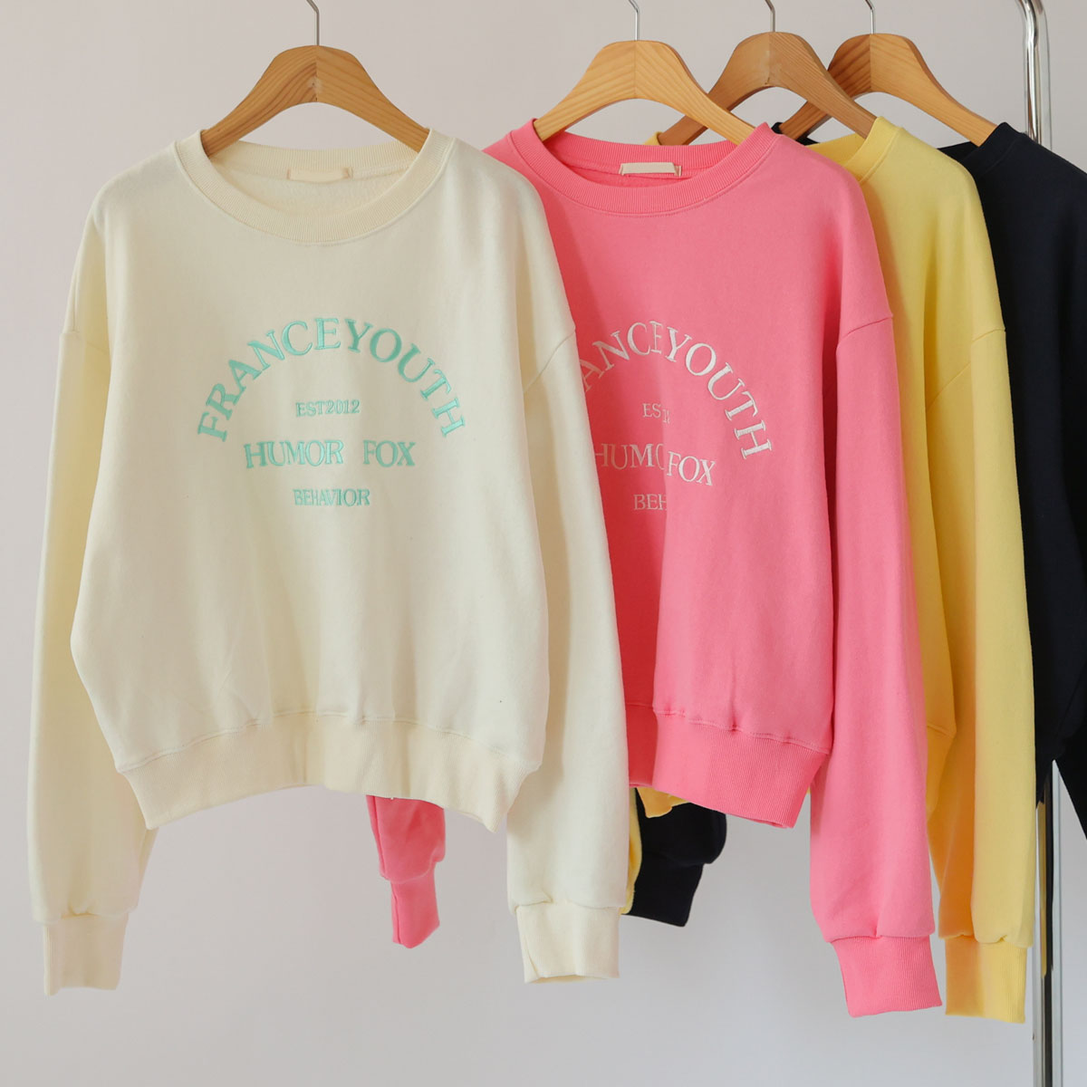 French Color Embroidered Terry Sweatshirt