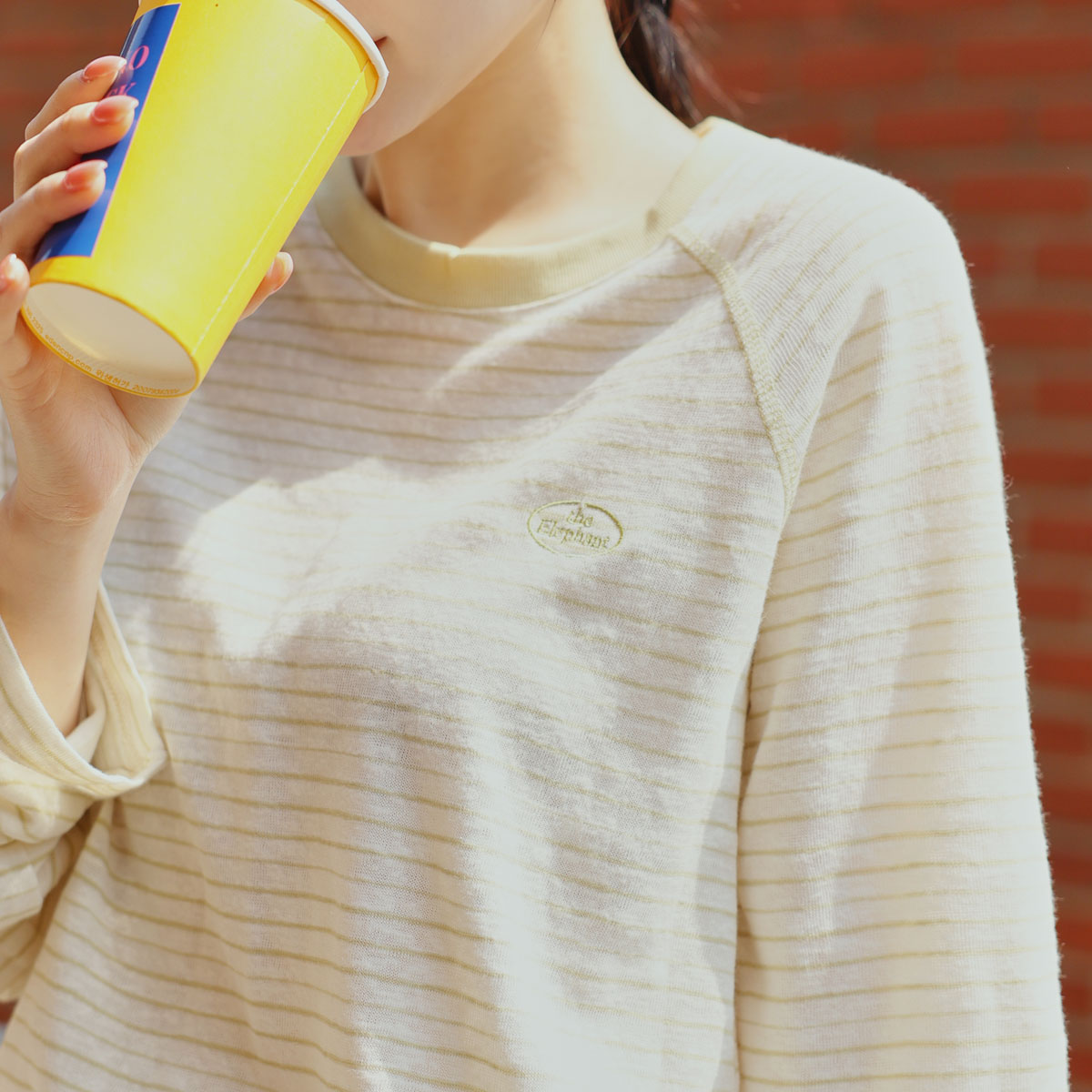 Embroidered striped slub tee